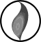 Veseli Plamicak doo logo